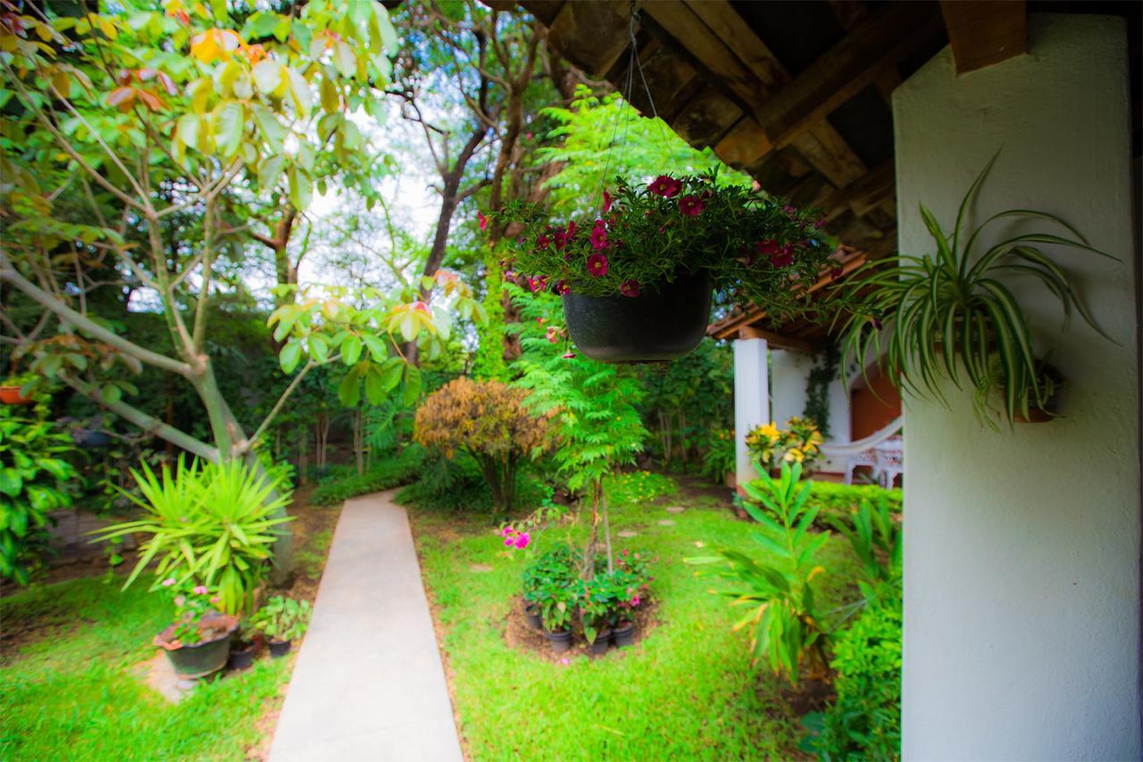 Hostal La Parroquia En Comala מראה חיצוני תמונה